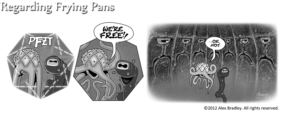Regarding Frying Pans